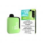 Mint Ice - Vice Box 2 Disposable - 70,000 puffs - 30mL