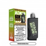Strawberry Watermelon - Svopp Oxbar Pod - 60,000 puffs - 25mL