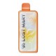 Strawberry Kiwi Ice - Lost Mary MT50k Disposable - 50,000 puffs - 20mL