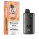 Pineapple Peach Paradise Iced - Flavour Beast Alpha Disposable - 80,000 puffs - 30mL
